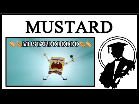 Why Is Everyone Yelling MUSTARD?