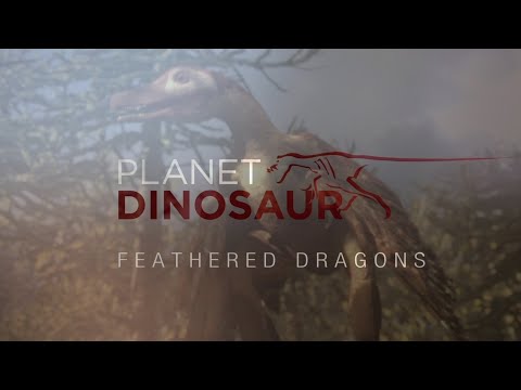 PLANET DINOSAUR: Feathered Dragons (HD)