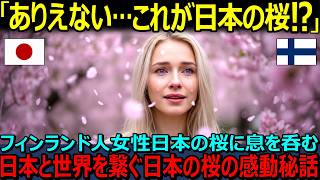 【テーマ】【海外の反応】「こんな風景ありえない！これが日本の桜！？ 」桜に魅了されたフィンランド人女性が日本と世界を繋ぐ桜の逸話に感動！！【日本賞賛】