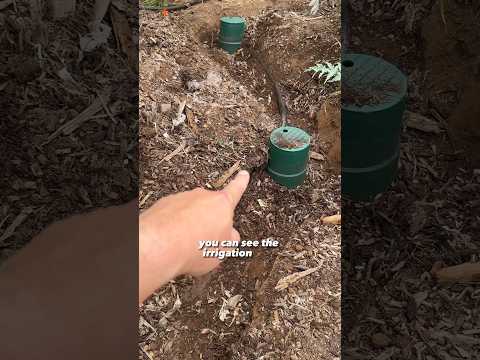 Fixing my laundry water irrigation system