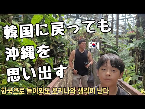 【日韓夫婦】沖縄旅行‼後編｜パイナップルに琉球村に国際通りに朝食ハンバーガー