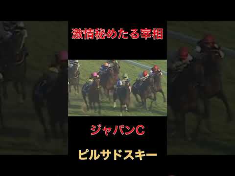 激情秘めたる宰相ピルサドスキー【ジャパンC】#競馬