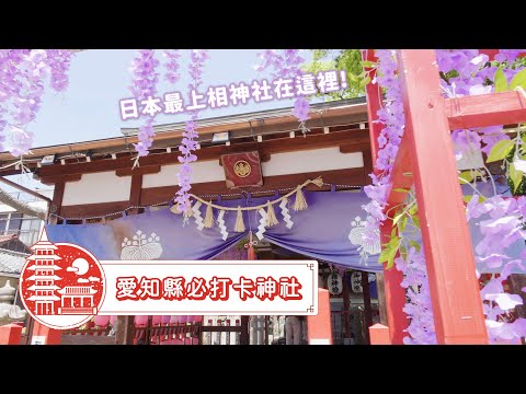 【名古屋】日本最上相的神社在這裡！｜愛知縣必打卡神社⛩️｜日本票選No.1最美御朱印｜別小江神社、白山宮、竹島｜貓導遊帶你玩愛知縣🐈