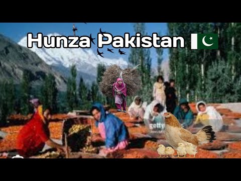 Hunza valley life style | hunza valley gilgit pakistan | hunza pakistan | pakistan village life