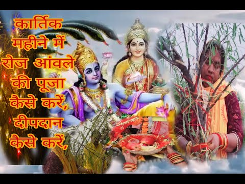 कार्तिक मास में आंवला के वृक्ष की पूजा कैसे करें क्या अर्पित करें#bhakti #festival #pujavidhi