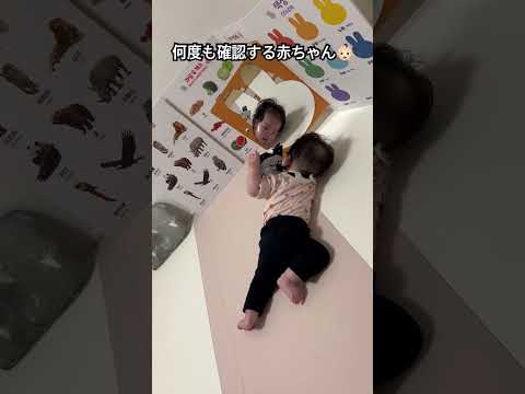 何度も自分の顔を鏡で確認する赤ちゃん👶🏻#赤ちゃん#赤ちゃんのいる生活 #かわいい#癒し#日韓ハーフ #baby #shorts