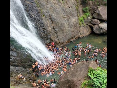 palaruvi waterfalls is one of Kerala's most picturesque waterfalls.