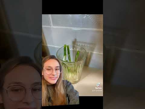 It’s me! The plant mom! Did you know you could do this?! #greenonions #growingplants #timelapse