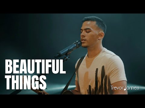 Beautiful Things - Benson Boone (Cover by Trevor James)