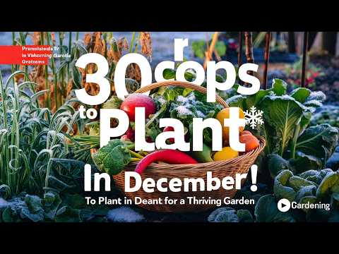 30 Crops to Plant in December for a Thriving Garden