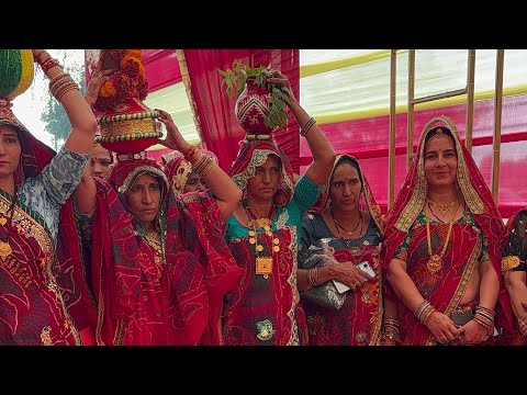 Mayra ll #youtube #mayra #song #trendingsong #rajasthani #culture