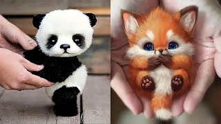 10 Cutest Baby Animals That Will Make You Go Aww