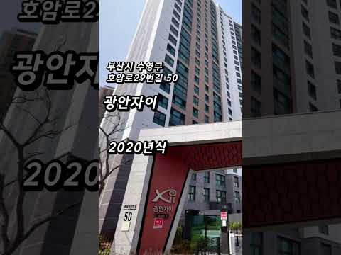 하루 아침에 5억 날아갔다 답 없는 부산 아파트