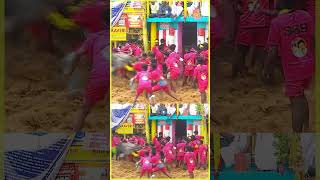 Palamedu Jallikattu 2025 | Suryan FM #jallikattu2025