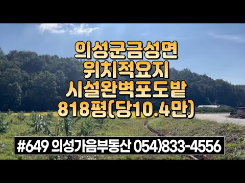 #649 의성가음부동산 반값인하!! 8500만 (당10.4만) 급매 818평 포도밭 2차선도로접 마을근처 비가림시설0 전기수도가능 군위군인접 다용도땅 투자가치^ #의성포도밭#싼땅