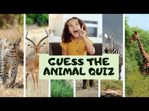 Guess The Animal Quiz