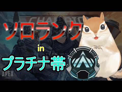 【ソロランク】プラチナ４から【APEX】RP8,674～