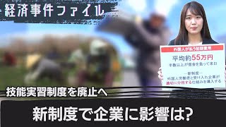 技能実習制度廃止へ 新制度で企業に影響も？【経済事件ファイル】（2023年11月28日）