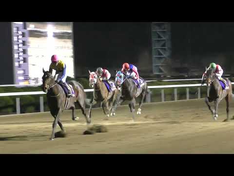 🏇第51回佐賀記念（Jpnlll 2000m）は単勝2番人気のJRA⑪ノットゥルノ（牡5 父ハーツクライ 武豊59）が貫録の違い見せつけ4馬身差で圧勝！重賞2勝目、武豊騎手は佐賀記念13年ぶり6勝目！