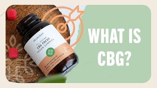 What is CBG: All You Need To Know About Cannabigerol