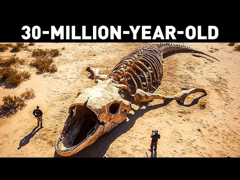 Prehistoric Leviathan Found in Peru's Desert — Largest Sea Creature Ever Discovered!