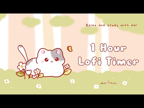 1 Hour - Relax & study with me Lofi | Cat in a field #timer #1hour #1hourloop #lofi #relaxing #calm