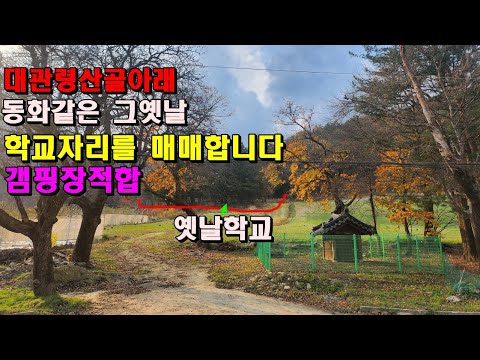 (강릉)대관령 산골아래 동화같은 그옛날 학교였던 자리를 매매합니다/캠핑장가능/수백년된 전나무가가득/강이흐르며 산골마을이훤히 보이는터/강릉부동산매매/강릉토지매매/강릉산골토지