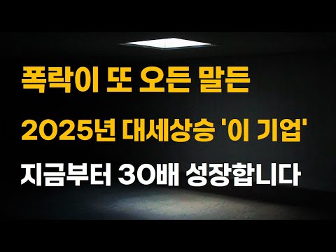 [주식] 폭락이 또 오든 말든 2025년 대세상승이 기대되는 '이 기업'은 모아가세요. 지금부터 30배 성장합니다.[증시전망, 12월주식전망, 2025년주식전망, 대폭락]