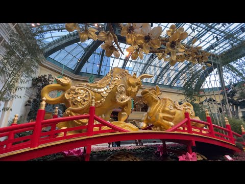 Chinese New Year at the Bellagio Conservatory - Las Vegas