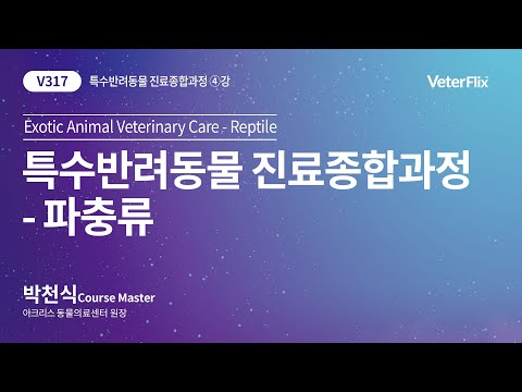 [베터플릭스][특수반려동물 진료종합과정] 파충류(Exotic Animal Veterinary Care-Reptile)