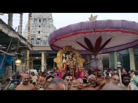 Kanchi Varadarajan - Kodai Uthsavam 2023 Day 02 Highlights_5m 34s