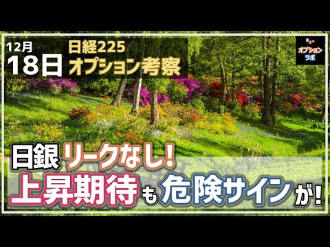 【日経225オプション考察】12/18 日銀 利上げのリークなし！ 上昇期待も危険サインが示現！