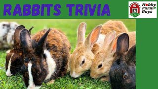 Rabbits Trivia