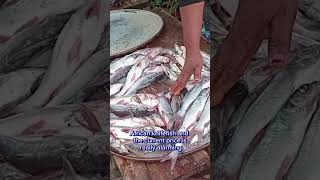 seafood market in Lagos  #lagosmarket #lagosseafoodmarket #DiscoverMyAfrica  ##youtubeshort