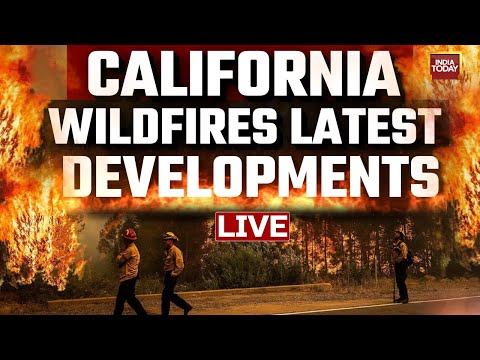 California Wildfires LIVE Updates | Trail Of Destruction Left Behind: LA Wildfire News | US News