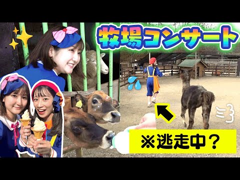 牧場でコンサート⁉︎🦙どうぶつさんたちに会ってきた🐴【那須高原りんどう湖ファミリー牧場】