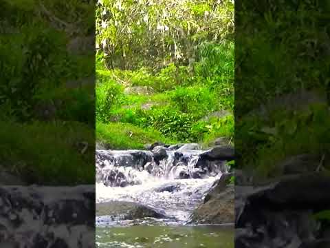 Soothing sound for sleep and meditation #nature #soothingsound #riversounds #relaxing #shorts