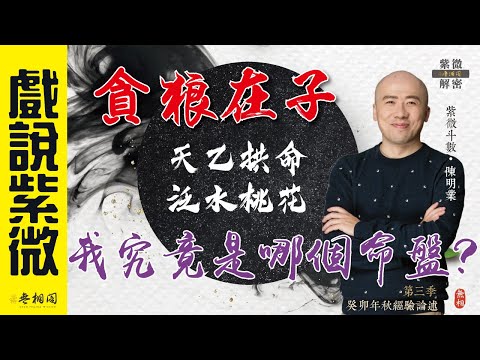 戲說紫微 | 案例46命例：我究竟是哪一張命盤？水二局的命對我們開了什麼玩笑？極難的邊境定盤問題！《紫微解密》(字幕版)