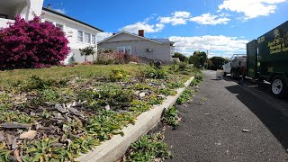 When the Weeds Overwhelm Your Garden | We Love Hand Weeding!