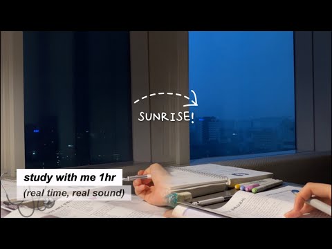 ☀SUNRISE🌙 1HR STUDY WITH ME with MEDICAL STUDENT l real time, no music l Korean college life 