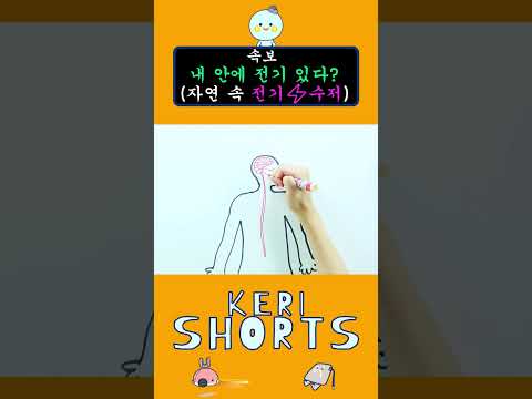 [KERI SHORTS]내 안에 전기 있다?! 아주 기절이야 기절~!😮자연 속 전기 현상 모음 1탄#shorts