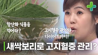 고지혈증 관리, 항산화 식품을 챙겨라? 고지혈증 완화 시켜준 새싹보리 효능!