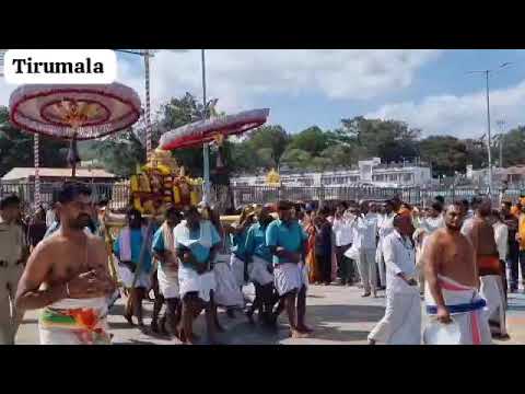 Tirumala Srinivasa Today 🙏🙏🙏