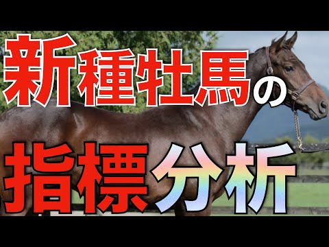 新種牡馬の初年度指標を徹底分析！意外な馬が優秀な数値を残す。