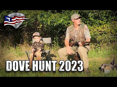 Dove Hunting A Sunflower Field / Opening Day 2023