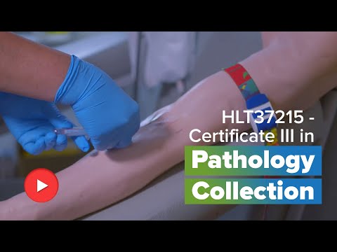 HLT37215 – Certificate III in Pathology Collection | @ihna-australia