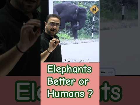 Elephants Better or Humans #motivation #kotacoaching #kota #practice #pradeepsirbiology #experiment