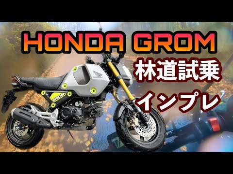 富士山２号目までGROMで登ってみた【試乗動画】雨の林道も楽しめる４MINI