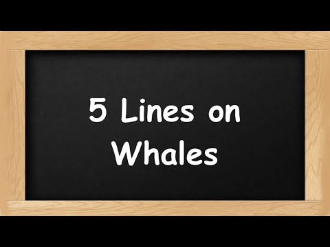 Whales Short 5 Lines in English || 5 Lines Essay on Whales