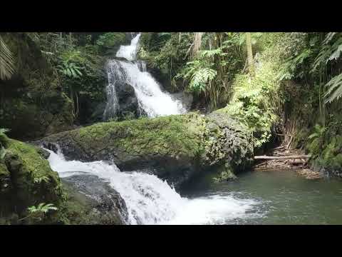 🔴 Waterfall flowing over rocks in forest. Relaxing, Soft Noise for Sleep (Nature Quest)